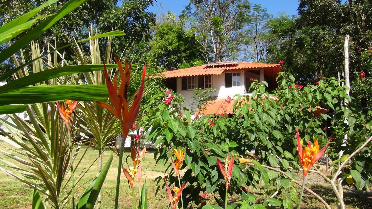 Cebaco Sunrise Lodge Isla Cebaco 외부 사진